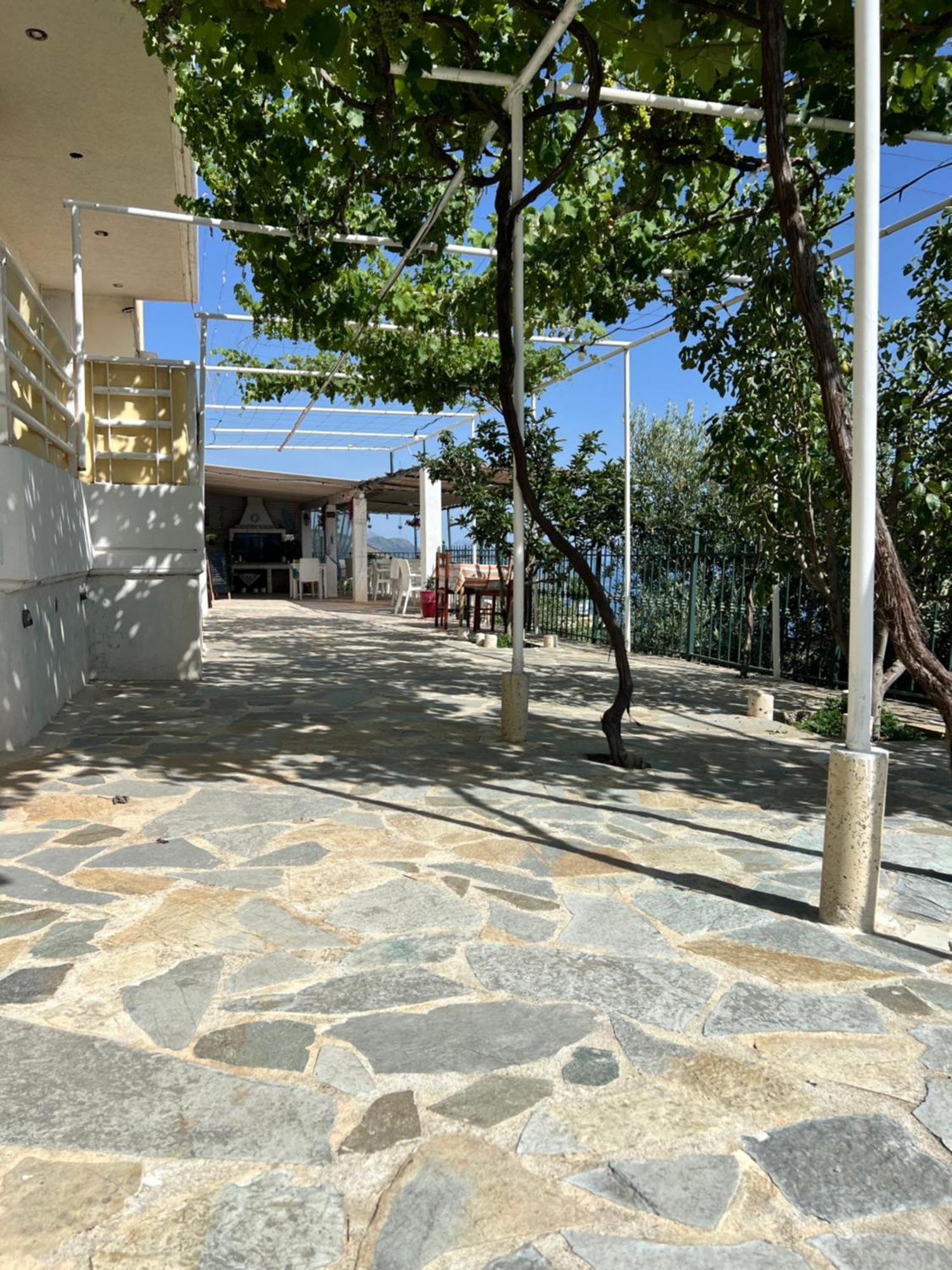 Villa Filip Vuno Εξωτερικό φωτογραφία