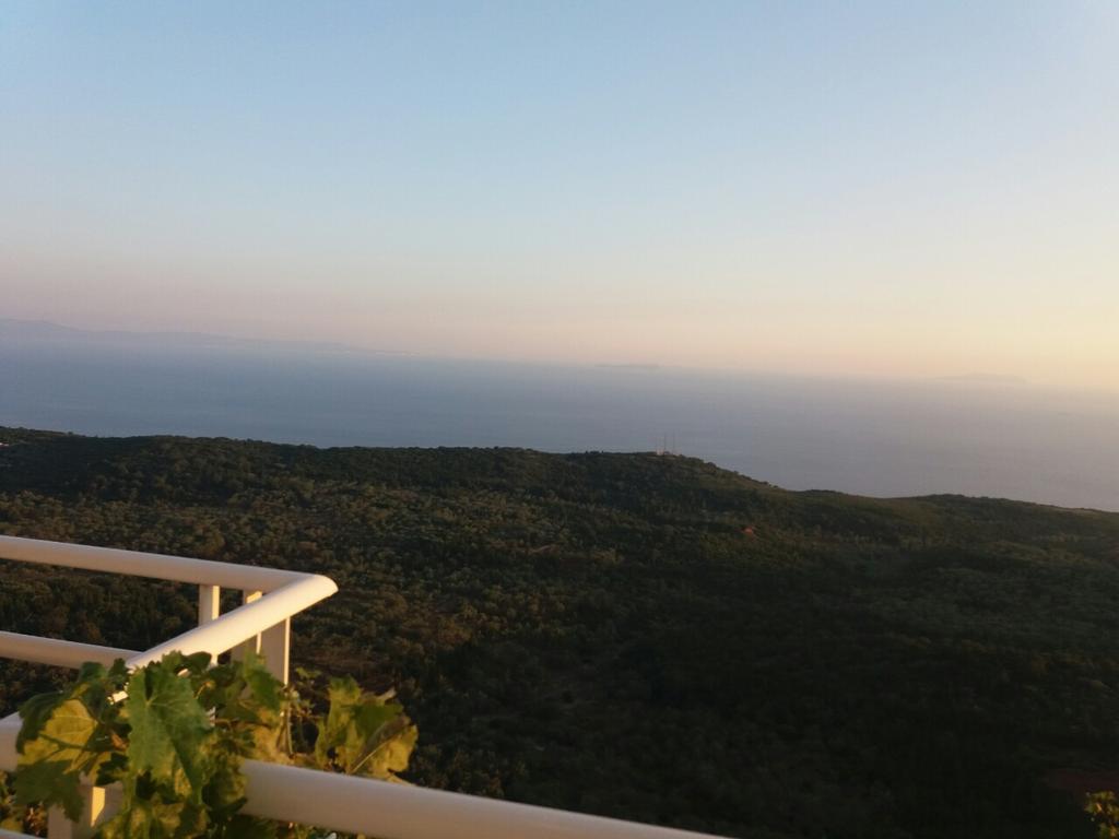 Villa Filip Vuno Εξωτερικό φωτογραφία