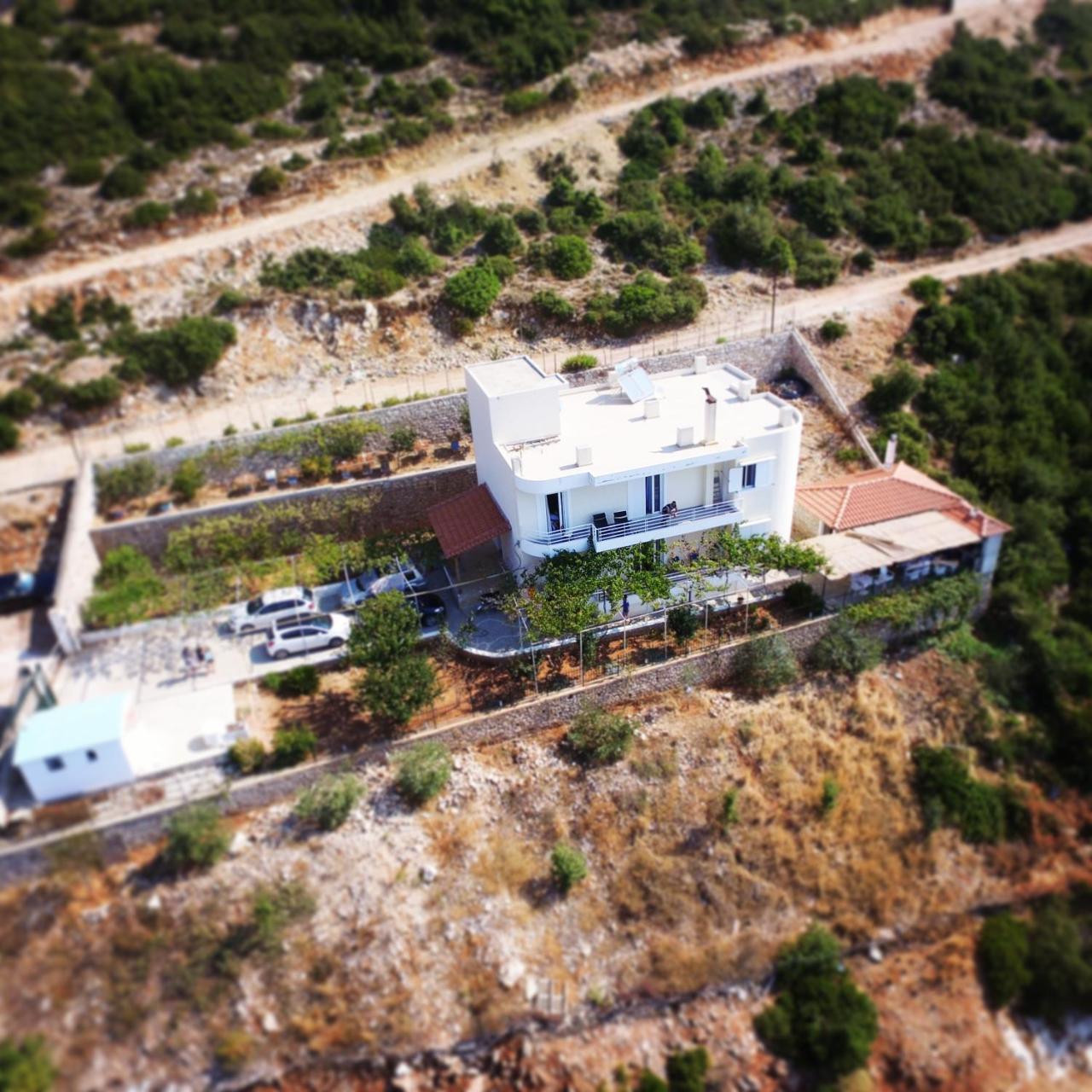 Villa Filip Vuno Εξωτερικό φωτογραφία